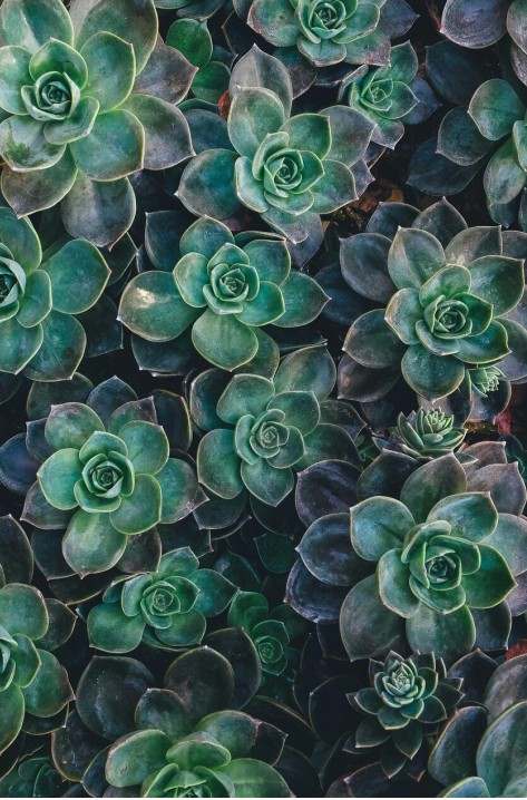 Design System Hintergrund